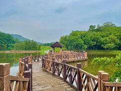 -番禺大夫山森林公园