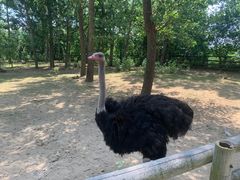 -大连森林动物园