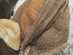 -王家渡火锅店(亦庄店)