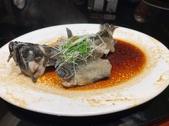 清蒸龙胆鱼-紫阳海鲜楼·传承闽味(长乐路总店)