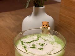 -柴务处·柴犬主题狗咖