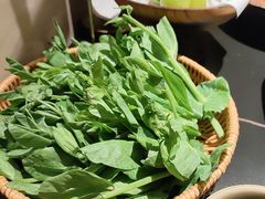 -季季山·云南野生菌火锅(上海首店)