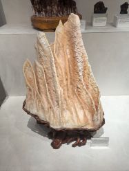 -菜百首饰店(总店)