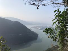 -铁山坪森林公园