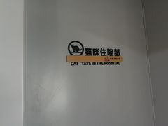 -康爱犬猫诊所·牙专科·骨外科·影像内科(丰宁店)