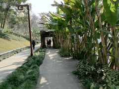 -重庆彩云湖湿地公园