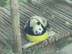 -大连森林动物园