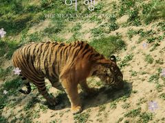 -济南野生动物世界