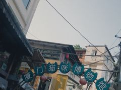 -猫咪博物馆(顶澳仔猫街店)