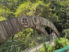 -西双版纳原始森林公园
