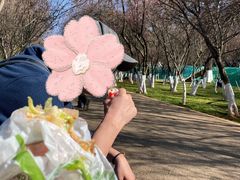-昆明动物园