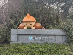 -上海崇明金茂凯悦酒店