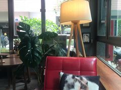 -咖法森林·咖啡  酒吧(天河店)