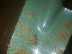 -那香海钻石沙滩浴场