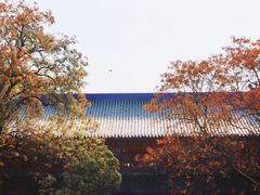 -灵谷景区