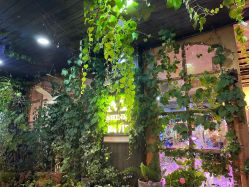 -青木造型HAIR·あおき髪を刈る潮人店