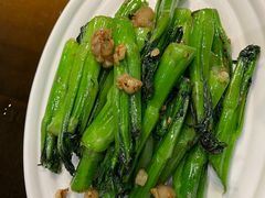 生炒菜心-粤·向群饭店(泮塘路店)