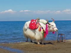 -青海湖国家重点风景名胜区