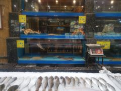 -红星渔村(将军石店)