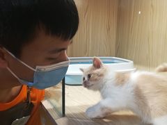 -屋虎猫馆(宝安大仟里店)