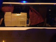 -南京奥林匹克体育中心-体育馆