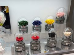 -ROSEONLY诺誓(广州K11店)