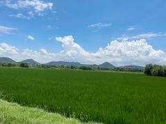 -良渚古城遗址公园