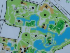 -和平公园