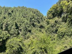 -三峡人家风景区