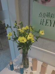 -YESIDO椰岛美容