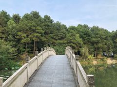 -铁山坪森林公园