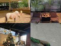 -J Create城市露营咖啡·简餐·宠物(上海动物园店)