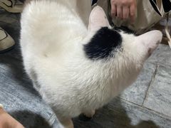 -尼玛藏家风味园(阿山食城店)