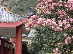 -黔灵山公园