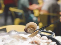 卜卜贝-水哥卜卜贝(东晓·胜汇里店)