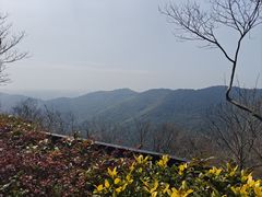 -穹窿山景区