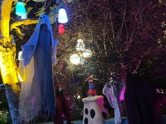 -青岛方特梦幻王国