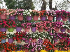 -揭东万竹园旅游景区