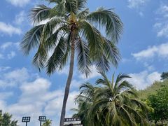 -三亚南山文化旅游区