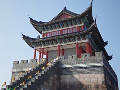-黄贤森林公园
