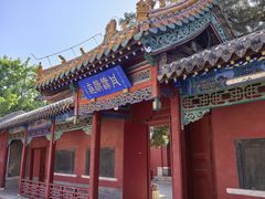 -药王庙(安国市)