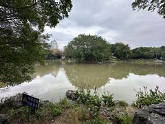 -福道