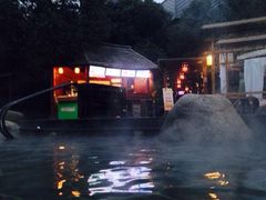 -常州环球恐龙城维景国际大酒店