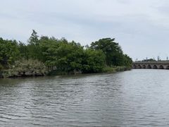 -三垟湿地