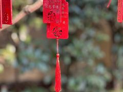 -无锡梅园公园