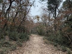 -虞山风景区
