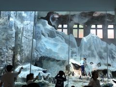 -帝企鹅自助餐厅•儿童岛•真企鹅(长隆企鹅酒店)