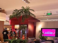 -老板恋上鱼(恒隆广场店)