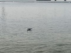 -星海广场