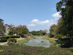 -大旗头古村